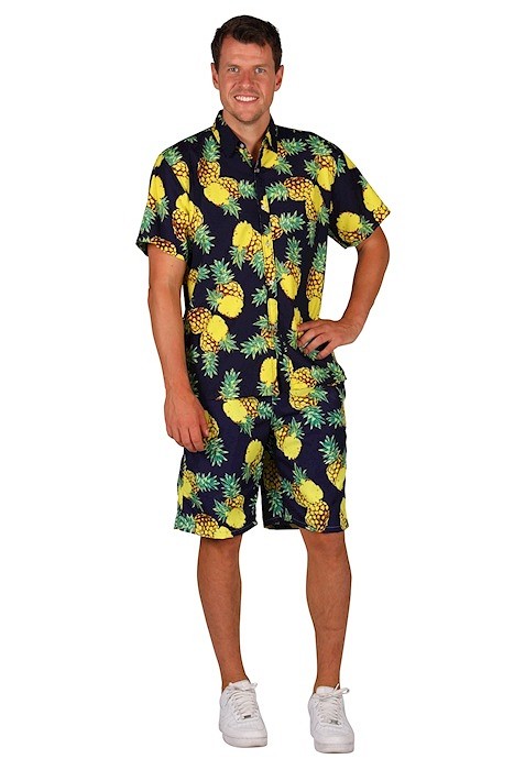 Hawaiiset Ananas - Willaert, verkleedkledij, carnavalkledij, carnavaloutfit, feestkledij, hawaii, tropical